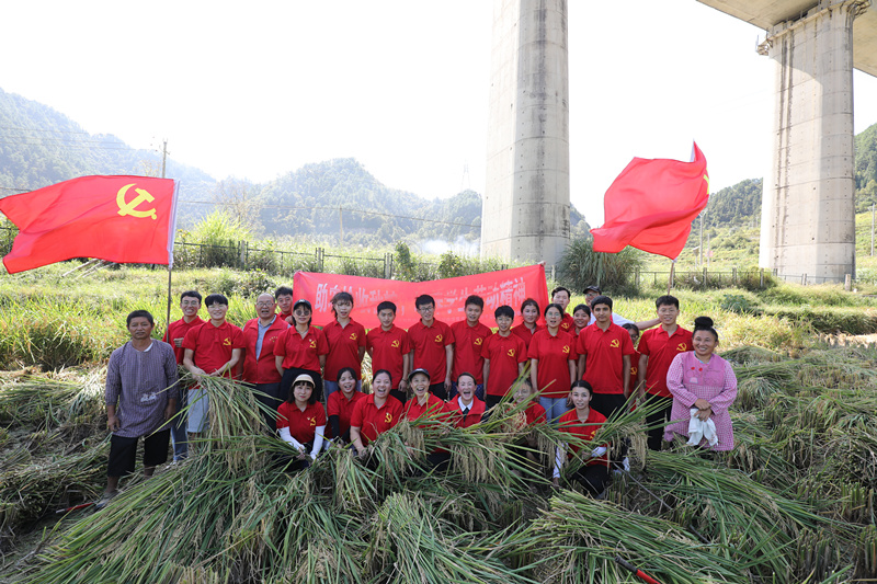 3d5795be74a94fb7b6a9c61b6b57a15e.jpg